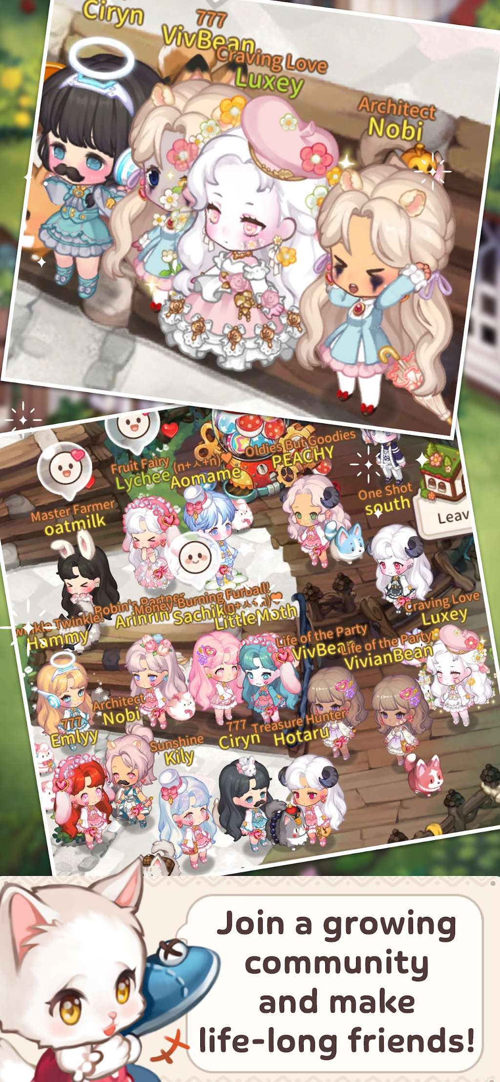 cover