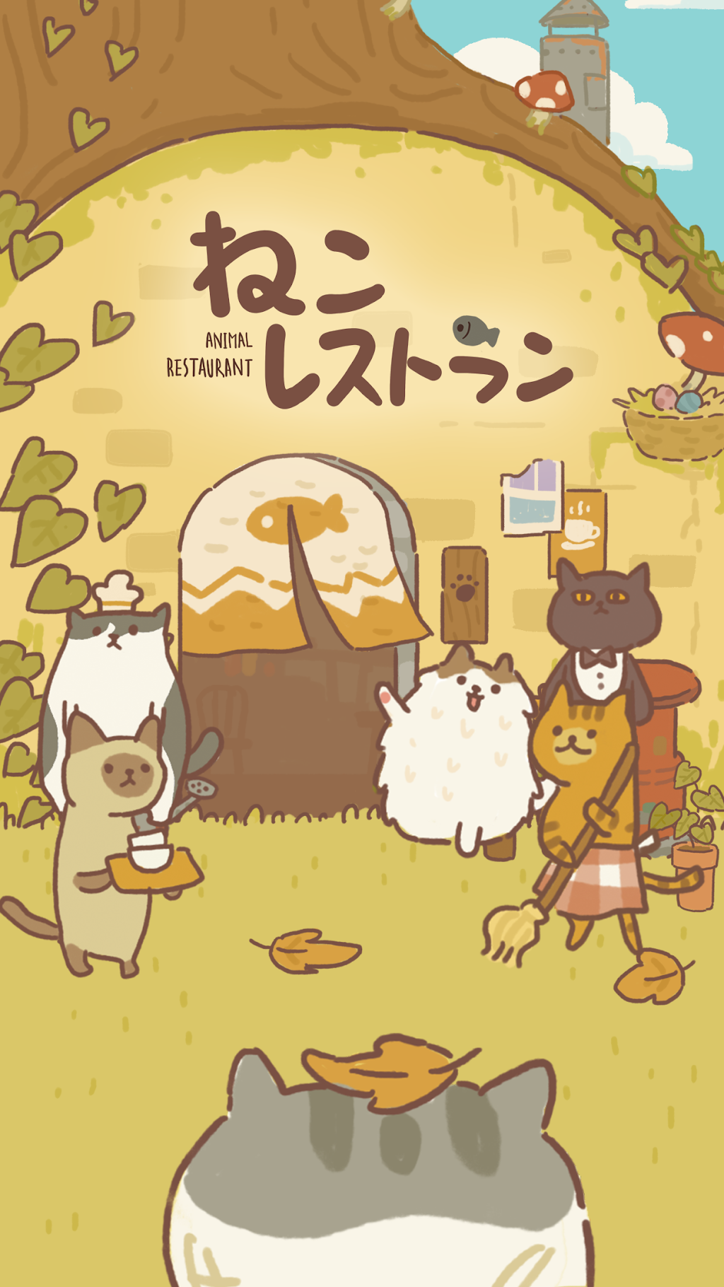 cover