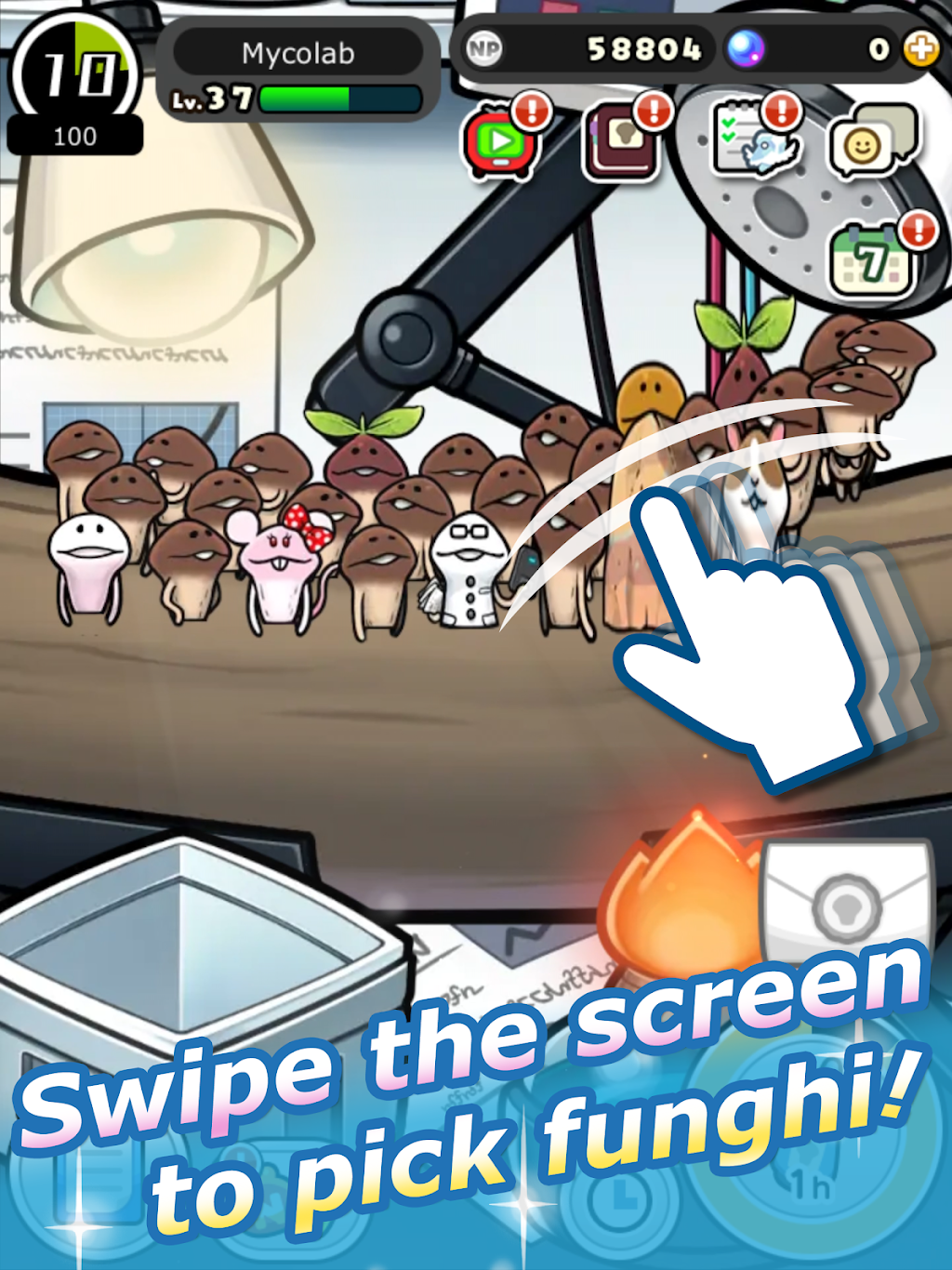 cover