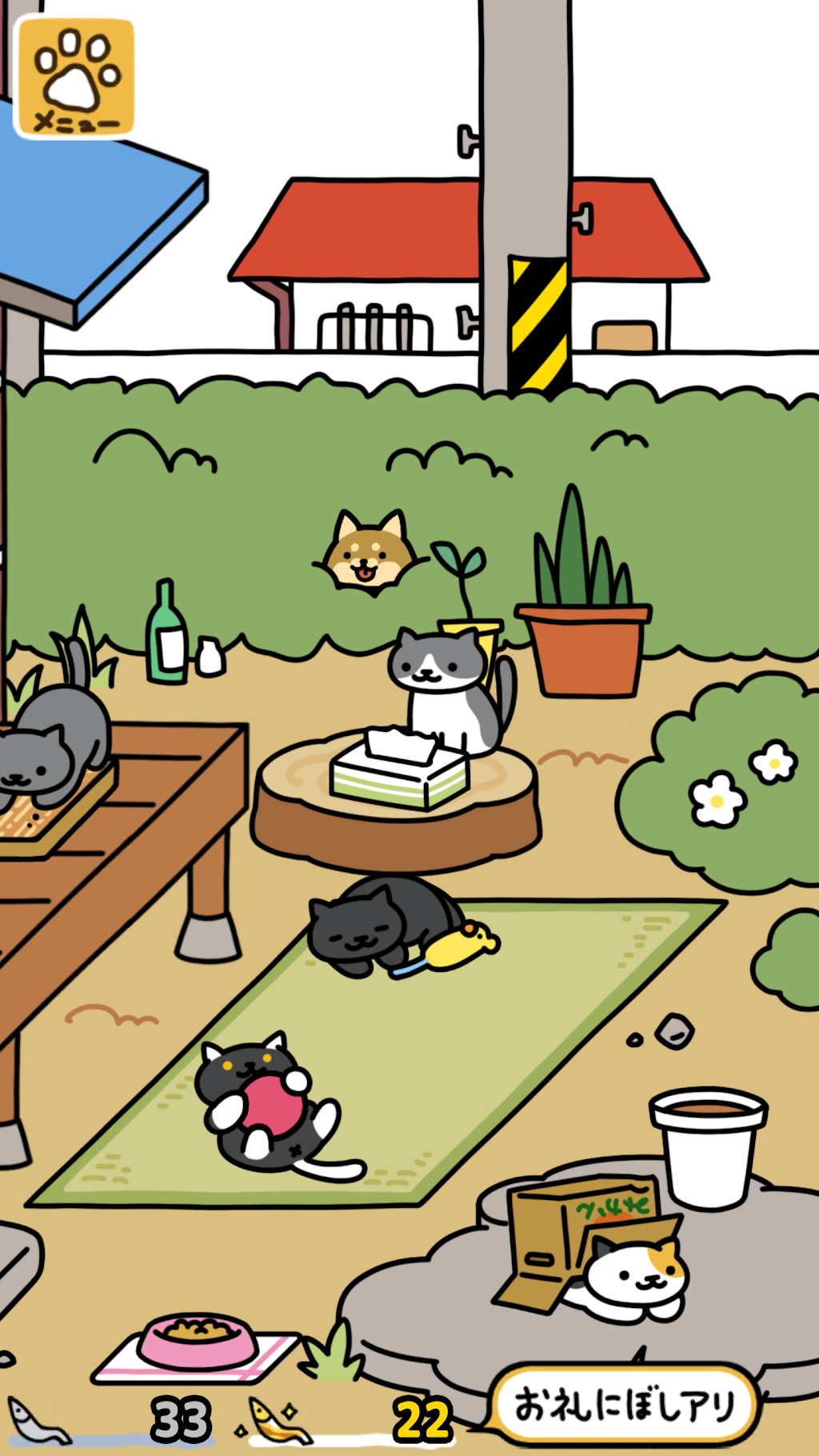 cover