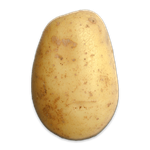 Potato