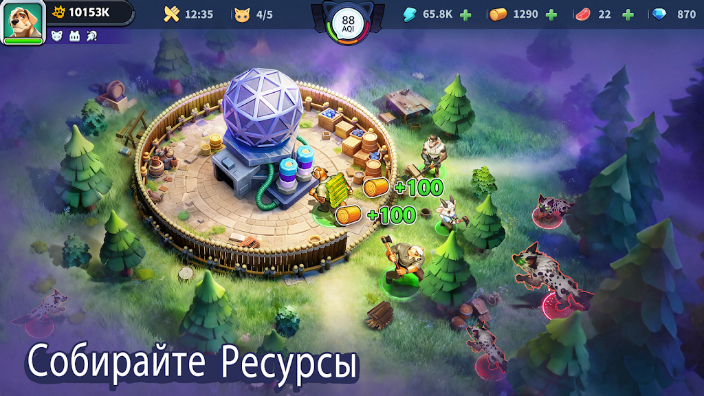 cover