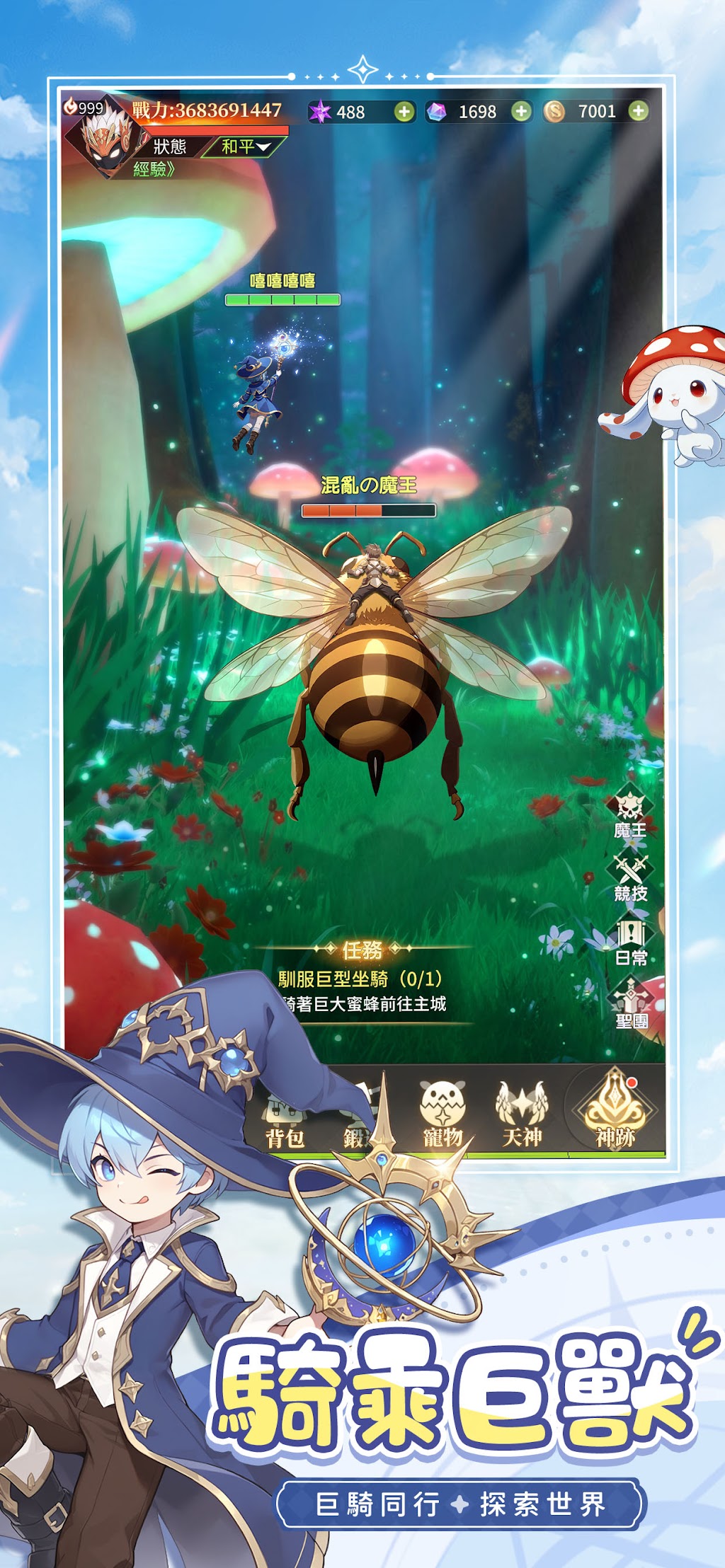cover