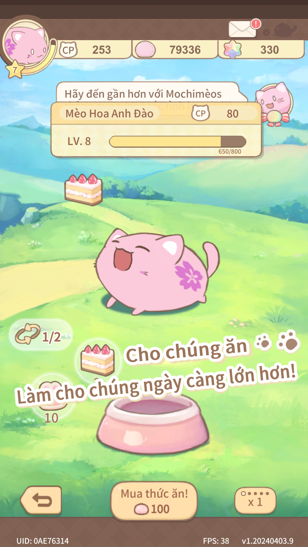 cover