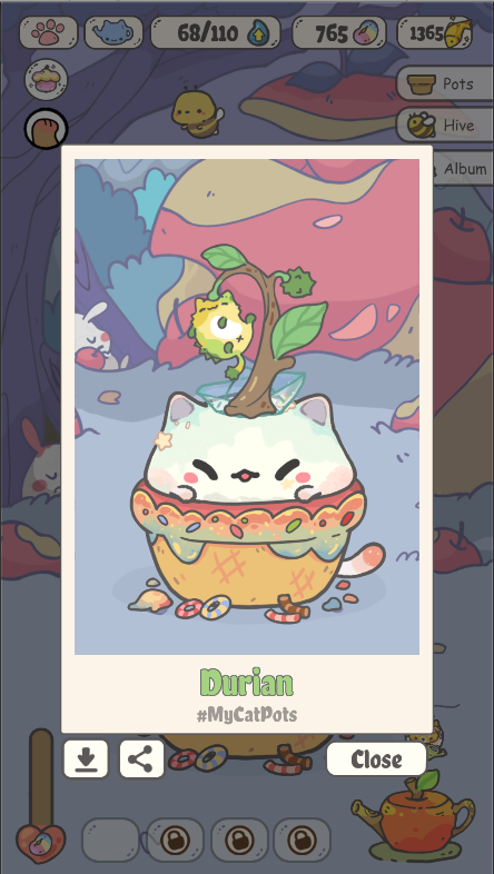 cover