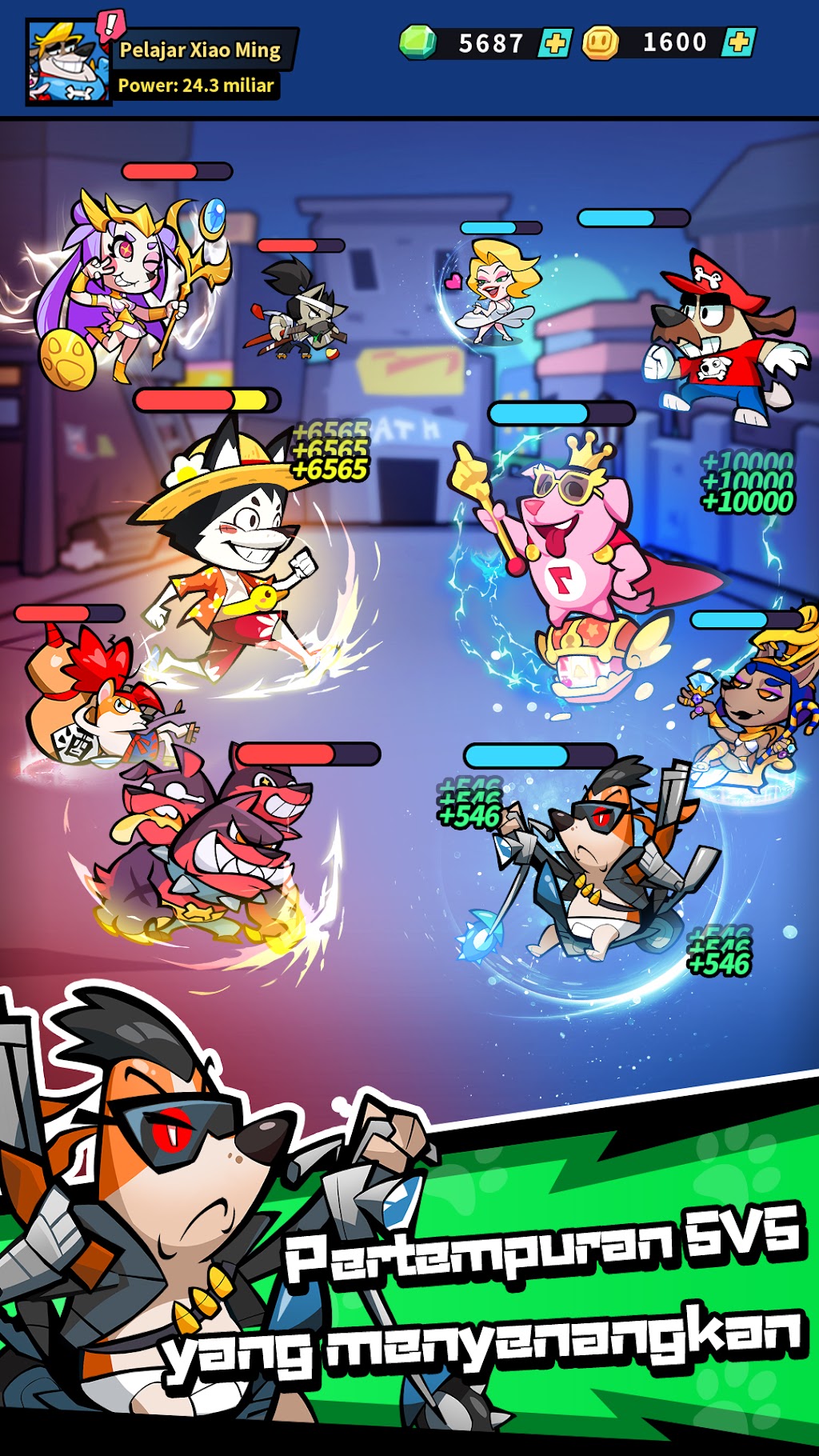 cover