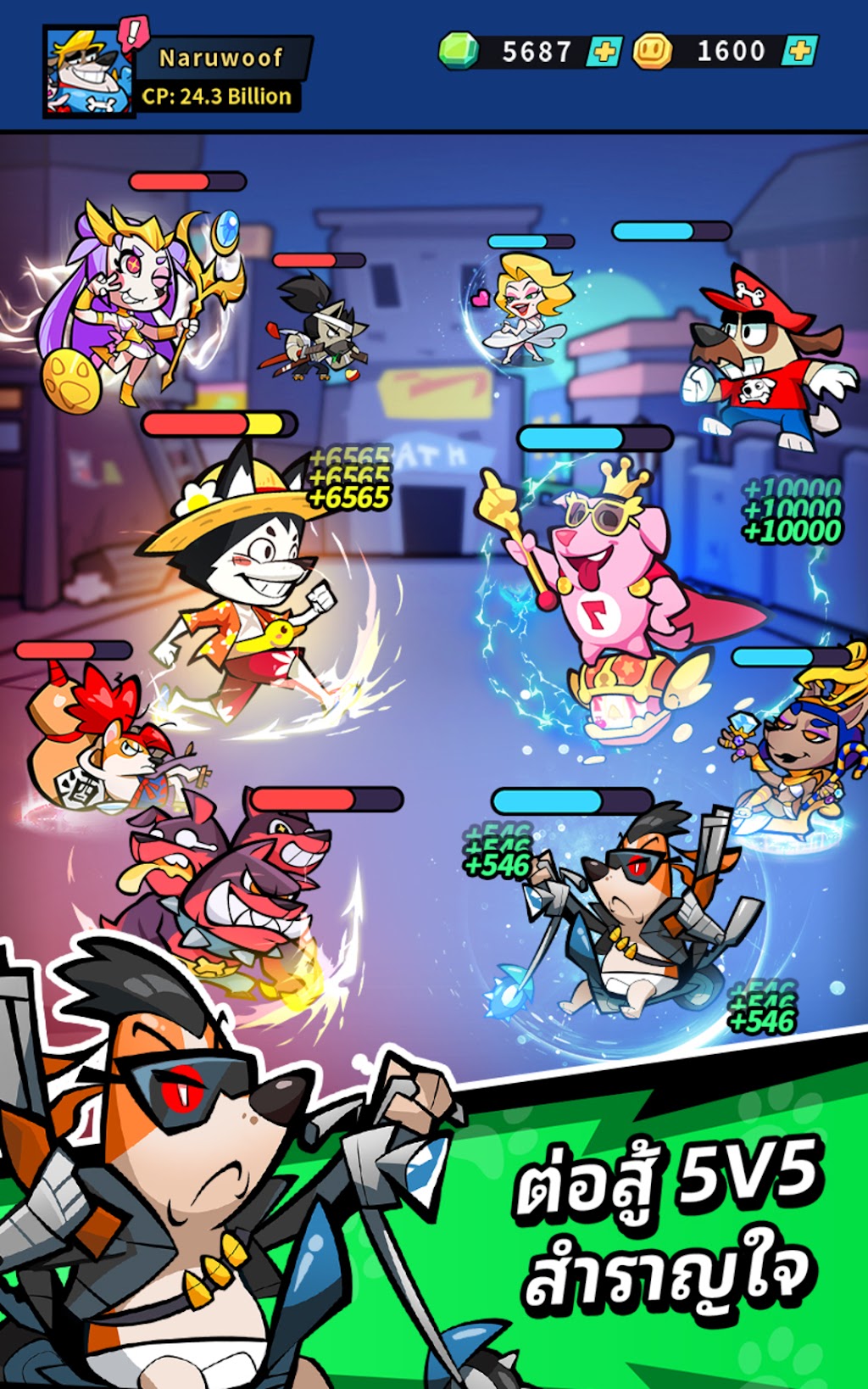 cover