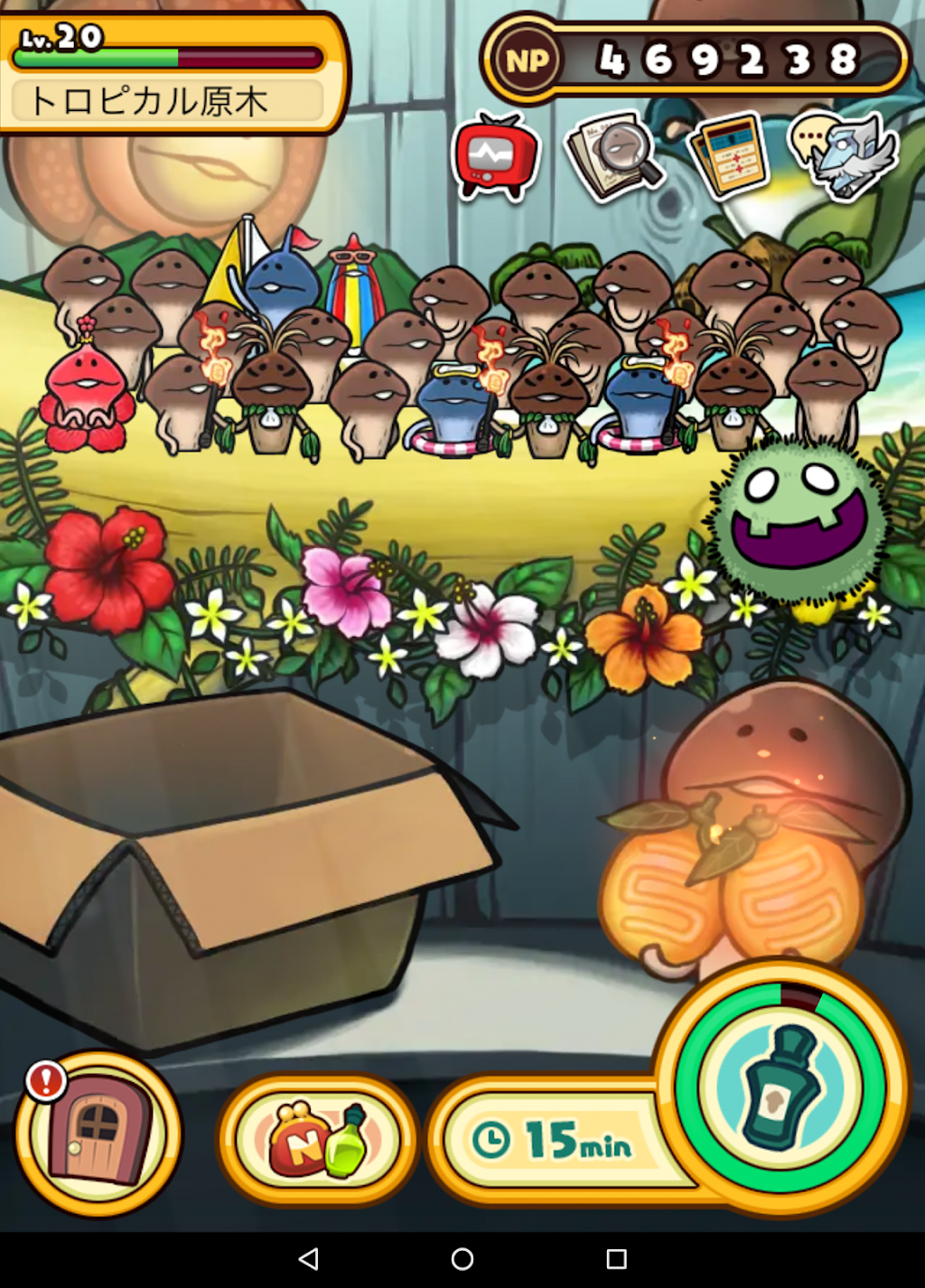 cover