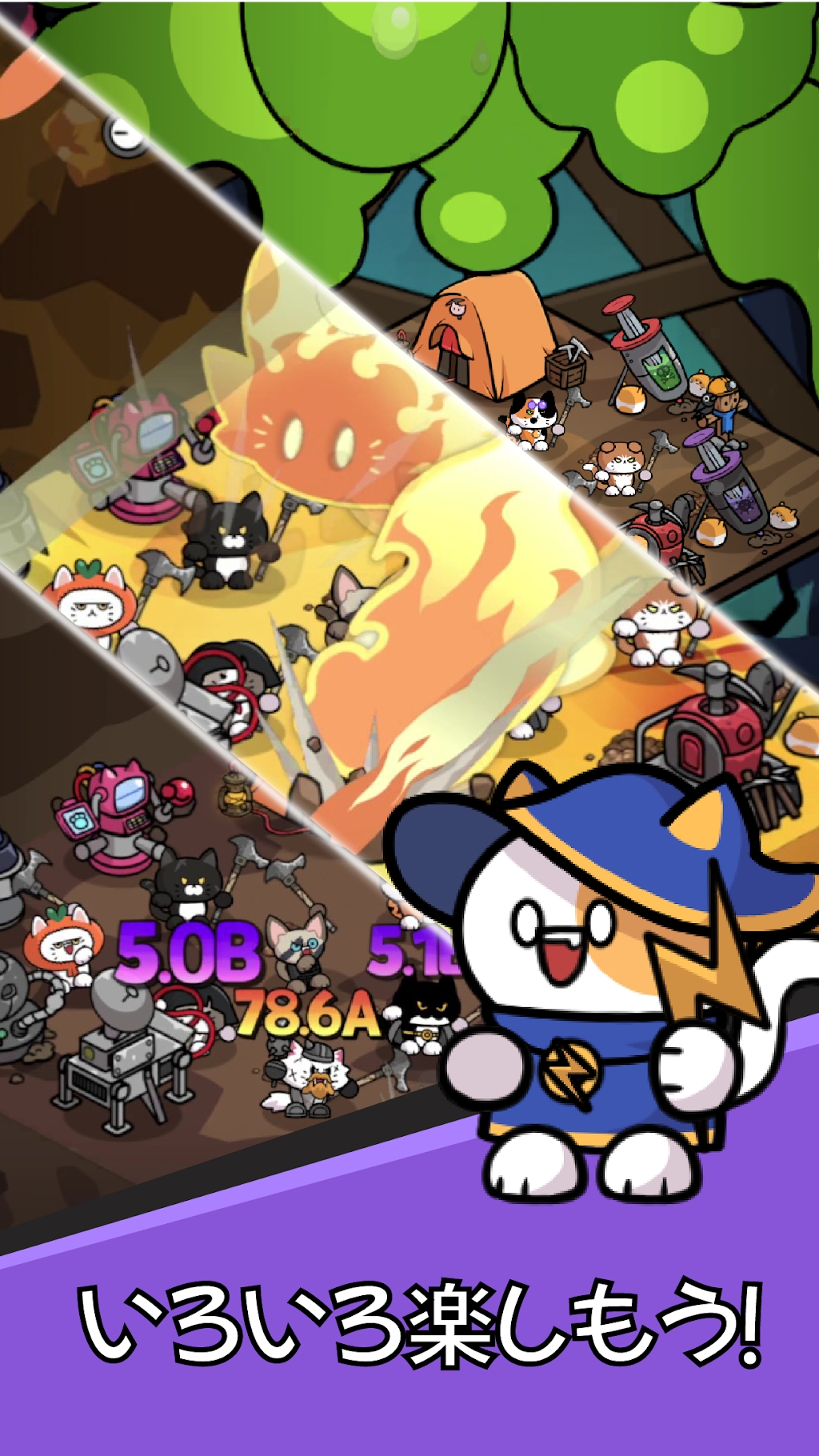 cover