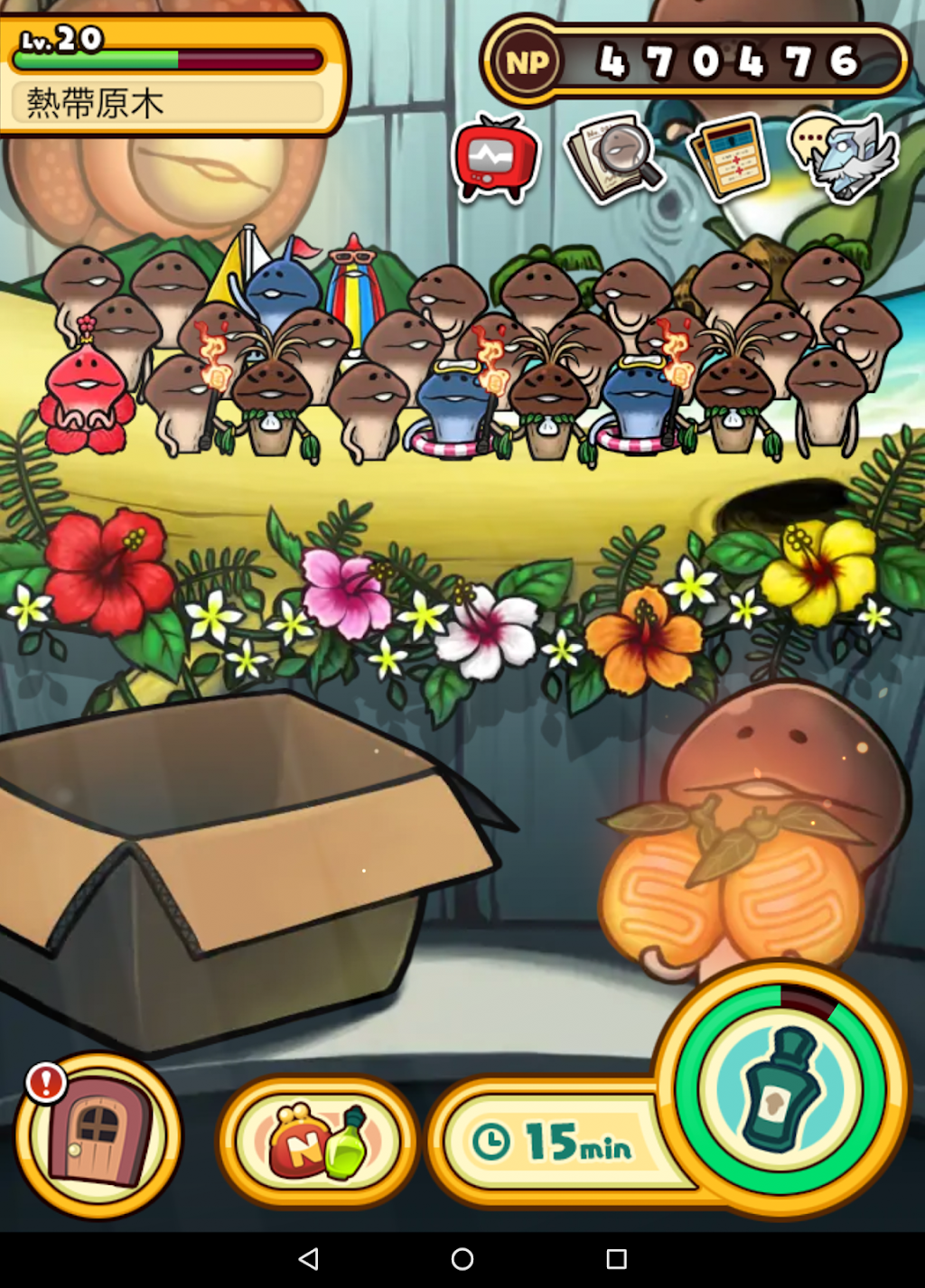 cover