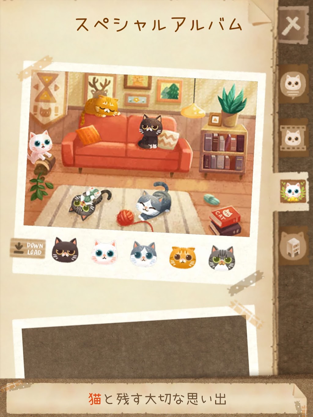 cover