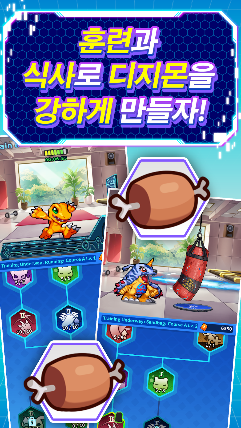 디지몬 UP 초반 육성 팁
