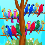 Vogel-farben sortieren puzzle
