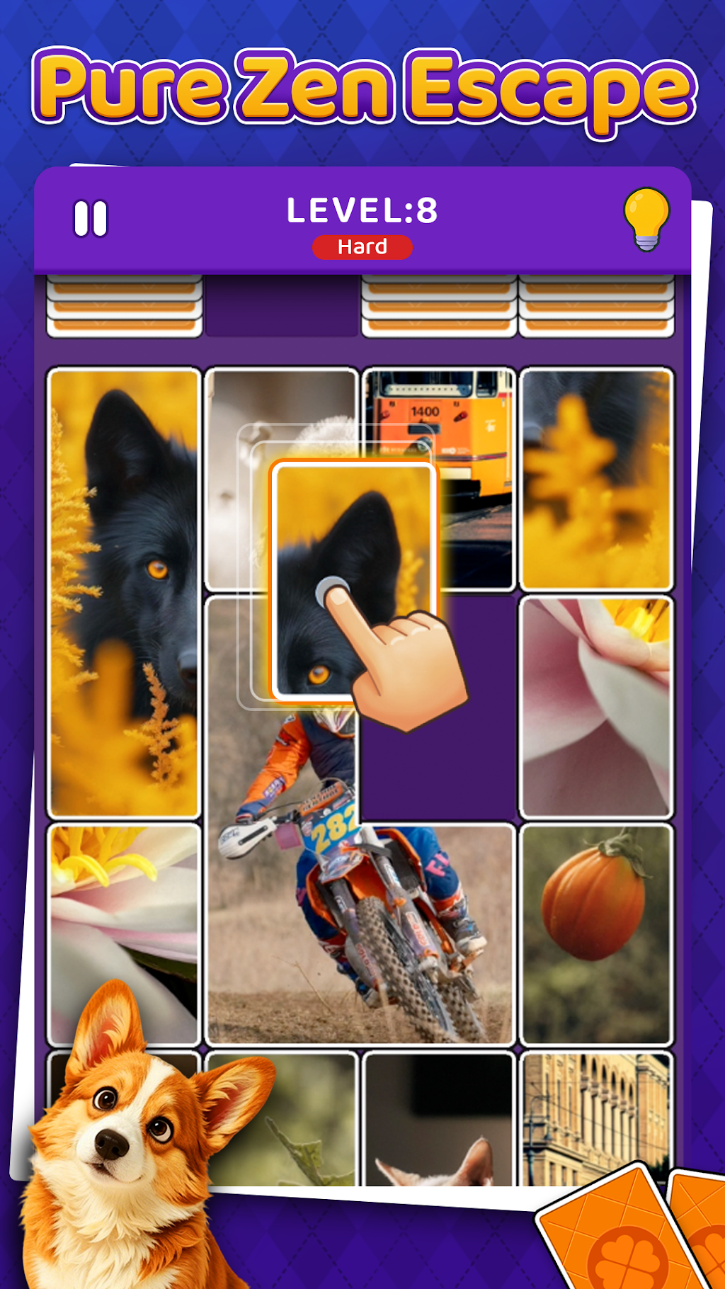 cover