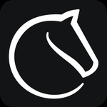 Lichess
