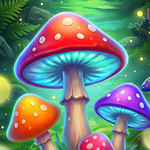 Enchanted Forest Reels